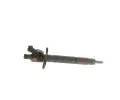 BOSCH Vstikovac tryska BO 0986435448, 0 986 435 448