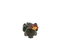 BOSCH Vysokotlak erpadlo BO 0986437006, 0 986 437 006