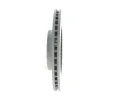 BOSCH Brzdov kotou - 300 mm BO 0986479701, 0 986 479 701