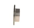 BOSCH Brzdov kotou - 315 mm BO 0986479C32, 0 986 479 C32