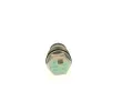 BOSCH Ventil omezen tlaku, Common-Rail-Systm BO 1110010012, 1 110 010 012