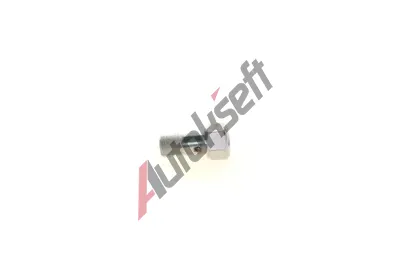 BOSCH Ventil vst�ikovac�ho syst�mu BO 1417413046, 1 417 413 046