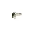 BOSCH Regultor alterntoru BO 1987237076, 1 987 237 076