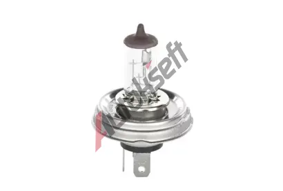 BOSCH rovka R2 12V 45/40W P45t BO 1987301021, 1 987 301 021