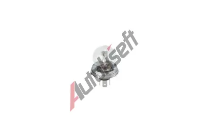 BOSCH rovka R2 12V 45/40W P45t BO 1987302023, 1 987 302 023