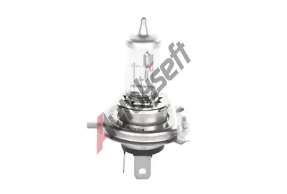 BOSCH rovka H4 12V 60/55W P43t BO 1987302042, 1 987 302 042