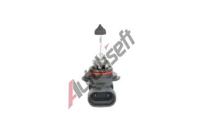 BOSCH rovka HB4 12V 51W P22d BO 1987302153, 1 987 302 153