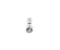 BOSCH rovka C21W 12V 21W SV8,5-8 BO 1987302230, 1 987 302 230