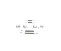 BOSCH Sada psluenstv parkovacch brzdovch elist BO 1987475366, 1 987 475 366