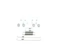 BOSCH Sada psluenstv brzdov elisti BO 1987475409, 1 987 475 409