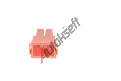 BOSCH Pojistka BO 1987529063, 1 987 529 063