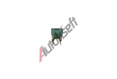 BOSCH Pojistka BO 1987529069, 1 987 529 069