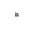 BOSCH Pojistka BO 1987529072, 1 987 529 072