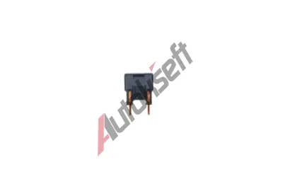 BOSCH Pojistka BO 1987529074, 1 987 529 074