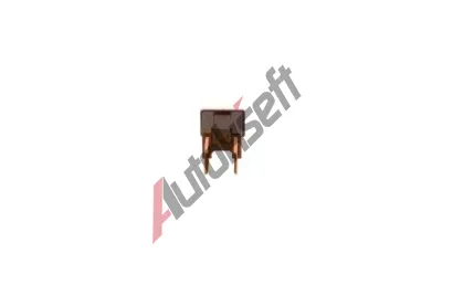 BOSCH Pojistka BO 1987529076, 1 987 529 076