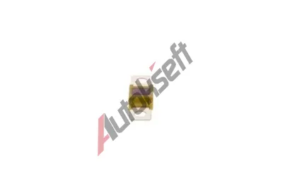 BOSCH Pojistka BO 1987531000, 1 987 531 000