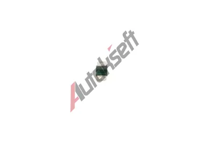 BOSCH Pojistka BO 1987531017, 1 987 531 017