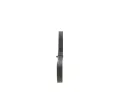 BOSCH Ozuben klnov emen Elastic BO 1987946141, 1 987 946 141