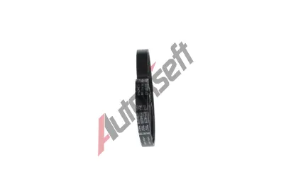 BOSCH Ozuben� kl�nov� �emen Elastic BO 1987946174, 1 987 946 174