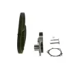 BOSCH Vodn pumpa - sada ozubenho emene BO 1987946385, 1 987 946 385