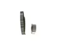 BOSCH Sada ozuben rozvodovho emenu BO 1987946542, 1 987 946 542