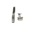 BOSCH Sada ozuben rozvodovho emenu BO 1987946667, 1 987 946 667