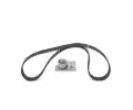 BOSCH Sada ozuben rozvodovho emenu BO 1987946710, 1 987 946 710