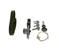 BOSCH Vodn pumpa - sada ozubenho emene BO 1987946917, 1 987 946 917