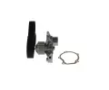 BOSCH Vodn� pumpa - sada ozuben�ho �emene BO 1987946989, 1 987 946 989