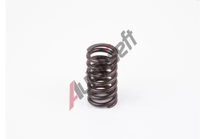 BOSCH Pru�ina BO 2414619010, 2 414 619 010