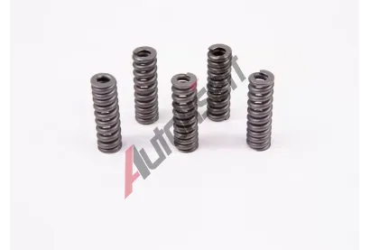 BOSCH Pru�ina BO 2434614027, 2 434 614 027