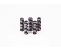BOSCH Pruina ‐ BO 2434614041