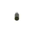 BOSCH Run dopravn erpadlo BO 2447222126, 2 447 222 126