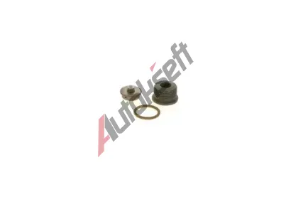 BOSCH Sada na opravu systmu Common Rail BO F00N201244, F 00N 201 244