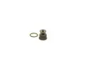 BOSCH Sada na opravu systmu Common Rail BO F00N201244, F 00N 201 244