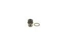 BOSCH Sada na opravu systmu Common Rail BO F00N201244, F 00N 201 244