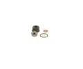 BOSCH Sada na opravu syst�mu Common Rail BO F00N202418, F 00N 202 418