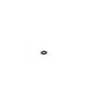 BOSCH Tsnic krouek BO F00VP01003, F 00V P01 003