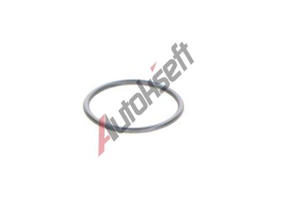 BOSCH Tsnic krouek BO F01M100114, F 01M 100 114