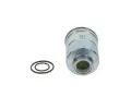 BOSCH Palivov filtr BO F026402830, F 026 402 830