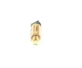 BOSCH Teplotn spna obohacen smsi pi studenm startu BO F026T03100, F 026 T03 100