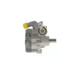 BOSCH Hydraulick erpadlo zen BO KS00000117, K S00 000 117