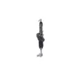 BOSCH dic mechanismus BO KS00002468, K S00 002 468