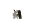 BOSCH Hydraulick erpadlo zen BO KS00910003, K S00 910 003