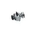 BOSCH Hydraulick erpadlo zen BO KS02000023, K S02 000 023
