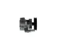 BOSCH Hydraulick erpadlo zen BO KS02000044, K S02 000 044