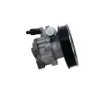 BOSCH Hydraulick erpadlo zen BO KS02000067, K S02 000 067