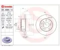 BREMBO Brzdov kotou - 256 mm ‐ BRE 08.3069.14