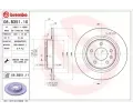 BREMBO Brzdov kotou COATED DISC LINE - 292 mm ‐ BRE 08.B351.11