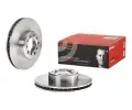 BREMBO Brzdov kotou - 300 mm BRE 09.4928.10, 09.4928.10